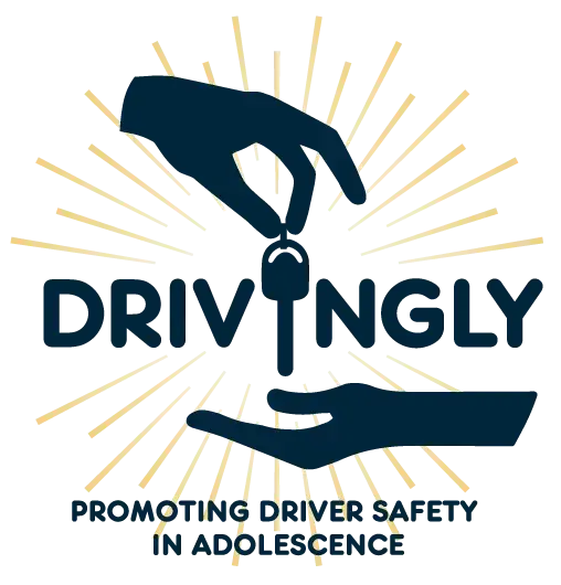 HiSS - Drivingly logo